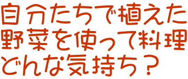 自分たちで植えた 野菜を使って料理 どんな気持ち？