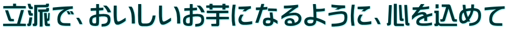 立派で、おいしいお芋になるように、心を込めて