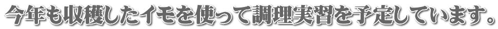 今年も収穫したイモを使って調理実習を予定しています。